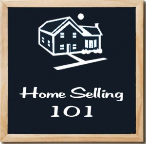selling-experience-2012-nar-profile-of-home-buyers-and-sellers-seller-incentives selling-experience-2012-nar-profile-of-home-buyers-and-sellers-seller-incentives