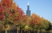 Chicagoland home sales experience slight rebound in October