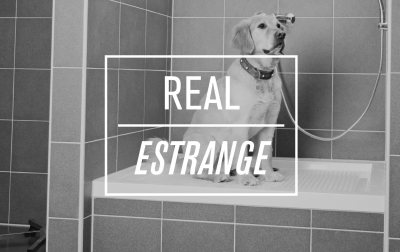 Where’s Spot? In His Personal Dog Shower