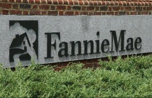 What Could Become of Fannie and Freddie?