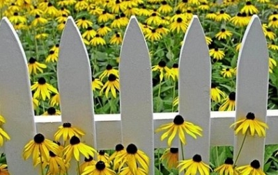 Home Sales Blooming Late in Spring Market