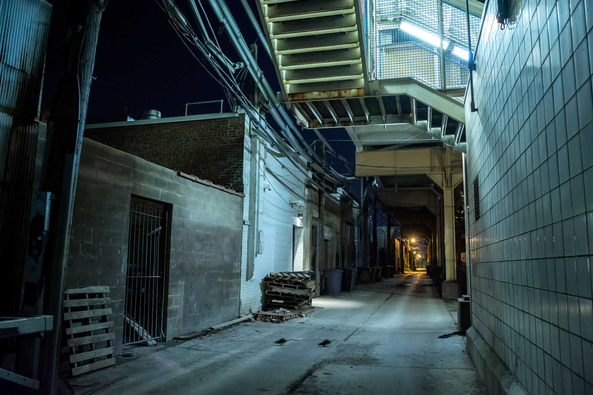 Dark And Eerie Urban City Alley At Night With Rats Running Across Chicago Agent Magazine