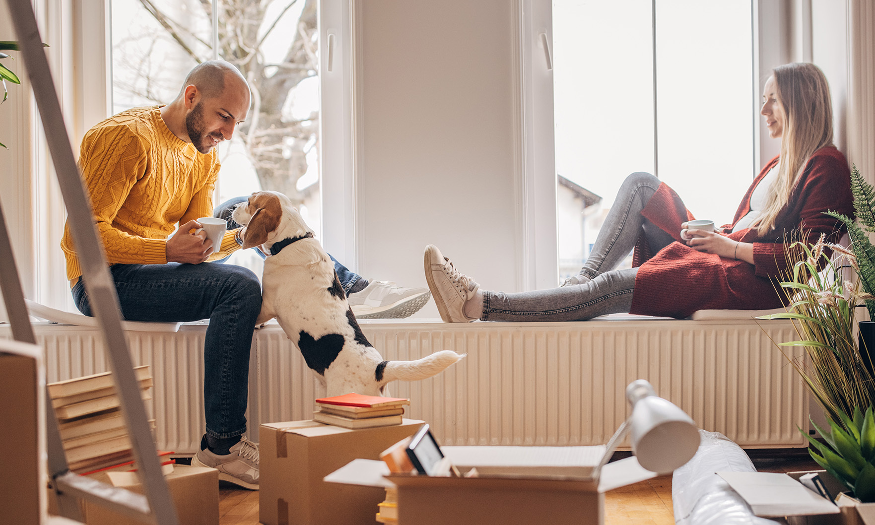 Two people sit by a window enjoying time with pets.
