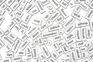 real-estate-writing-words-paul-anglin-thomas-thomson-adjectives-descriptions-housing