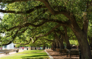 houston-public-park-best-places-to=live-us-news