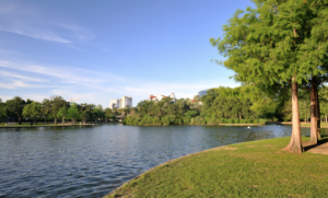 kingwood-real-estate-buyer-parks-safety-affordable-community