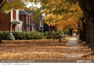average-down-payment-percentage-money-lending-tree-mortgage