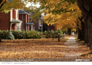average-down-payment-percentage-money-lending-tree-mortgage