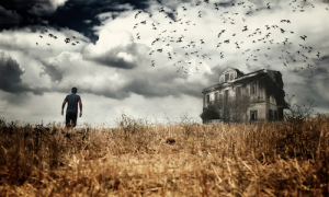 zombie-foreclosures-q2-2015-realtytrac-