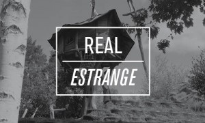REAL-TreehouseRemodeling