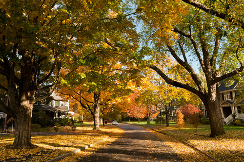 newton-suburb-boston-town-homes-house-home